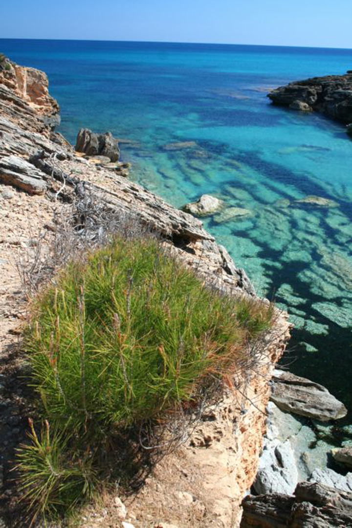 pescaturismomallorca.com excursiones en barco a Cala Estreta Mallorca