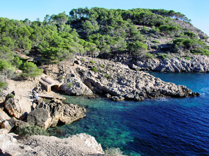 fishingtripmajorca.co.uk boat trips to Cala Monje in Majorca