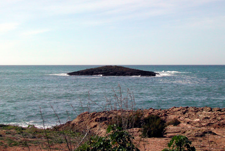 fishingtripmajorca.co.uk boat tours to Illot sa Galera Majorca