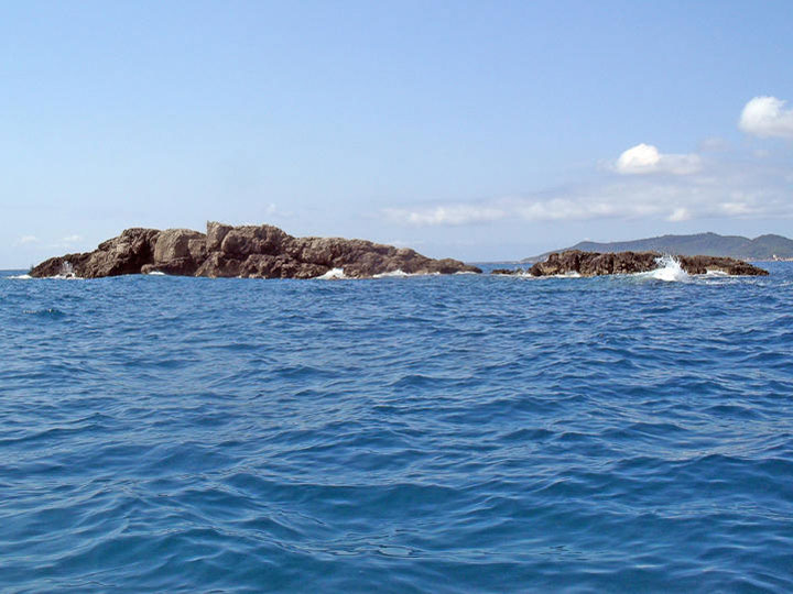 pescaturismomallorca.com excursiones en barco Illot sa Galera Mallorca