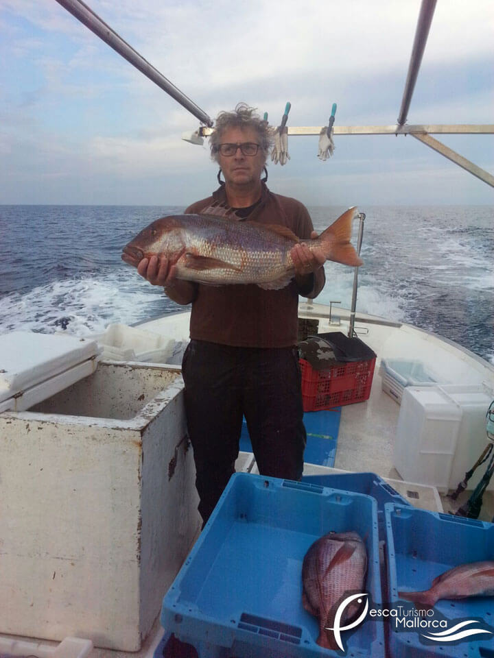 pescaturismomallorca.com excursiones en barco en Mallorca con Hispaniola