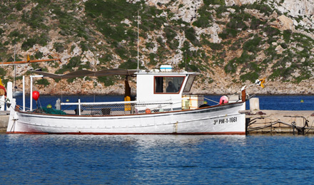 www.pescaturismomallorca.com excursiones en barco en Mallorca con Xoriguer