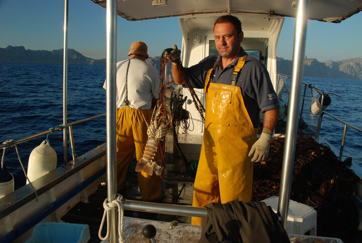 pescaturismomallorca.com excursiones en barco desde Mallorca con Suau
