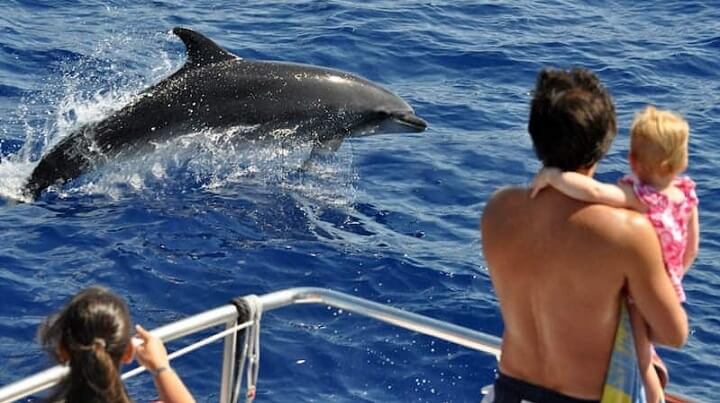 www.pescaturismomallorca.com Excursión para ver delfines desde Porto Cristo