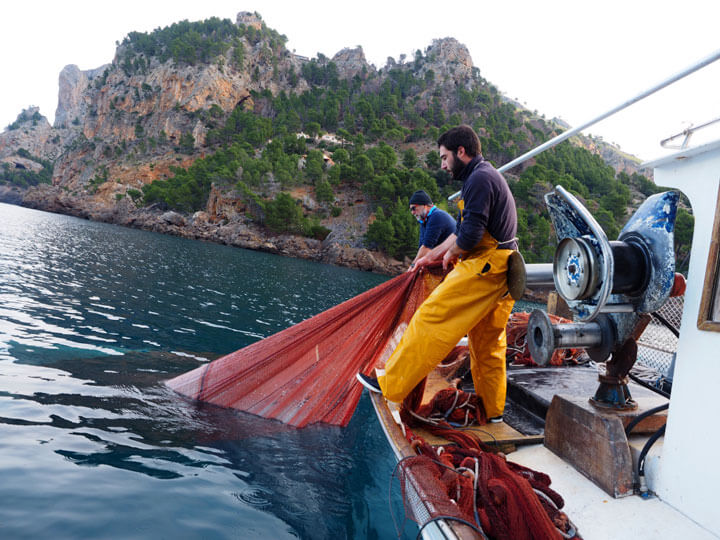 www.fishingtripmajorca.co.uk boat tours in Mallorca with Passador