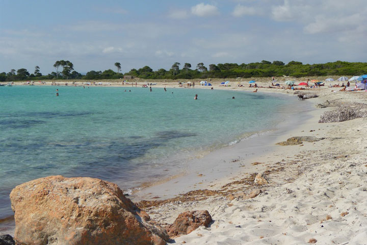 angeltourenmallorca.de Bootstouren auf Playa Es Caragol in Mallorca