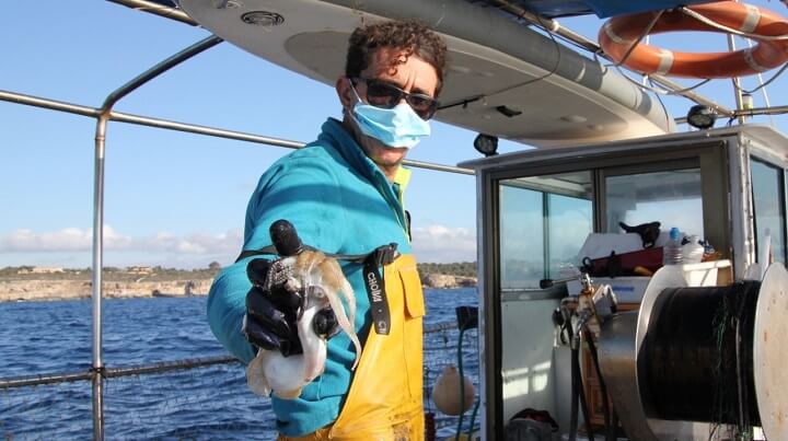 www.pescaturismomallorca.com excursiones de pesca en Porto Cristo con Roca