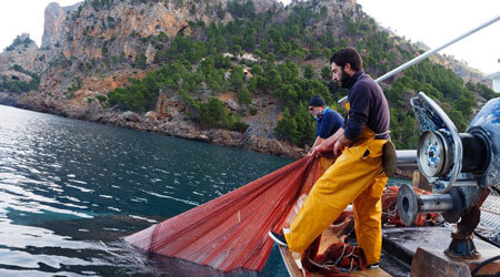 Marinero por un día con Pescaturismo Mallorca
